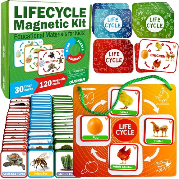 Quokka Life Cycle Kit Toy Montessori - 30 Flash Cards Toddler Science Activities for Kids Ages 2-4 - Prek Animal Learning