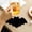 Black Size X3, variant on 11.5x11.5cm Halloween Coaster Set, Wenini Non Slip Heat Resistant Black Spider Web Coaster, Party Table Decoration for Coffee Mugs Glasses Holiday Dining Bar, Black