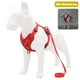 thumbnail image 1 of Greeniant Pet Harness Set Professional Breathable Reflective Walking Towing Accessories Vest Accessory Rope Outdoor Ropes Dog Leash Suministros para perros No.6 Greeniant PT002524-06, 1 of 6