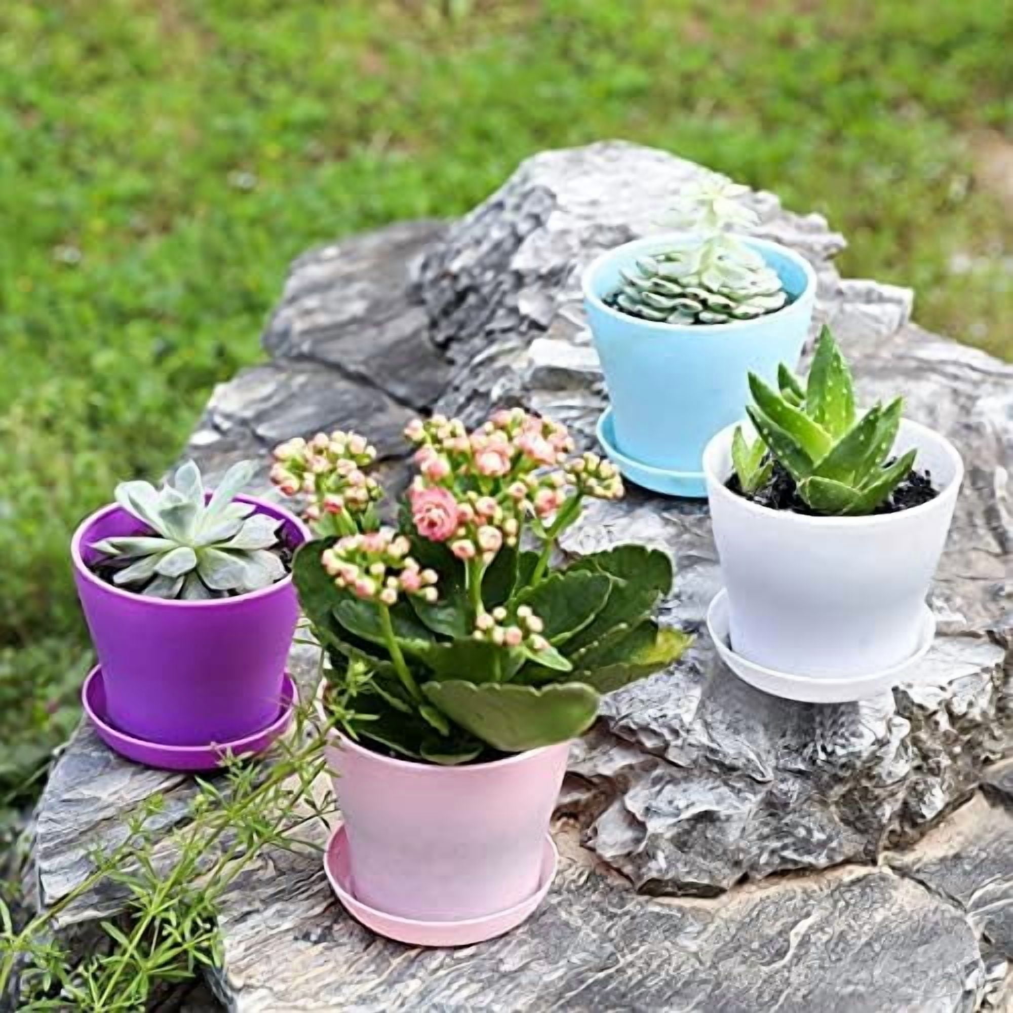 10 Pcs Plastic Planters Indoor Flower Plant Pots, Mini Flower Seedlings Nursery Pot/Planter/Flower Pot with Pallet, Modern Decorative Gardening Containers (Blue)