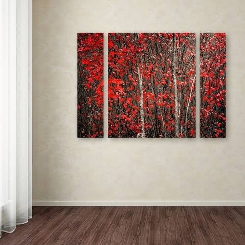 Trademark Fine Art "Hush Before Winter" Canvas Art by Philippe Sainte-Laudy Three Panel Set