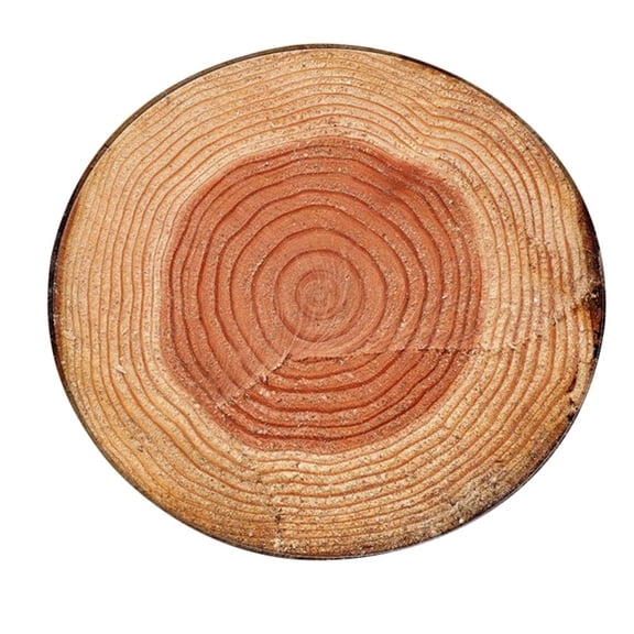 Tkrady Wood Grain Round Carpet, Home Area Rug Living Room Floor Yoga Mat Multiple Types 60cm