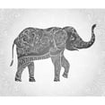 thumbnail image 2 of CafePress - Indian Elephant Throw Blanket - Soft Fleece Throw Blanket, 50"x60" for All Ages, 2 of 4