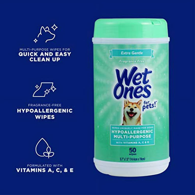 Antibacterial wipes top for dogs walmart