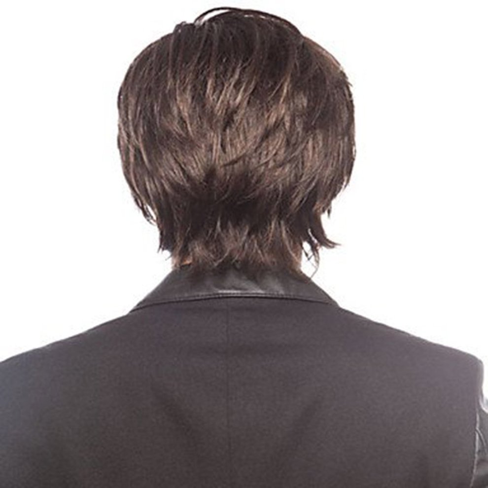 Fashion Fringe Hairstyle Hair Wig Men Shaggy Short Straight Full Wigs Walmart Canada