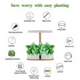 thumbnail image 4 of Easier Than Hydroponics Growing System | Grow Indoor Herb Garden Kit With Grow Light | Smart Garden For Home Kitchen Windowsill | Vegetable & Herb Gar, 4 of 5