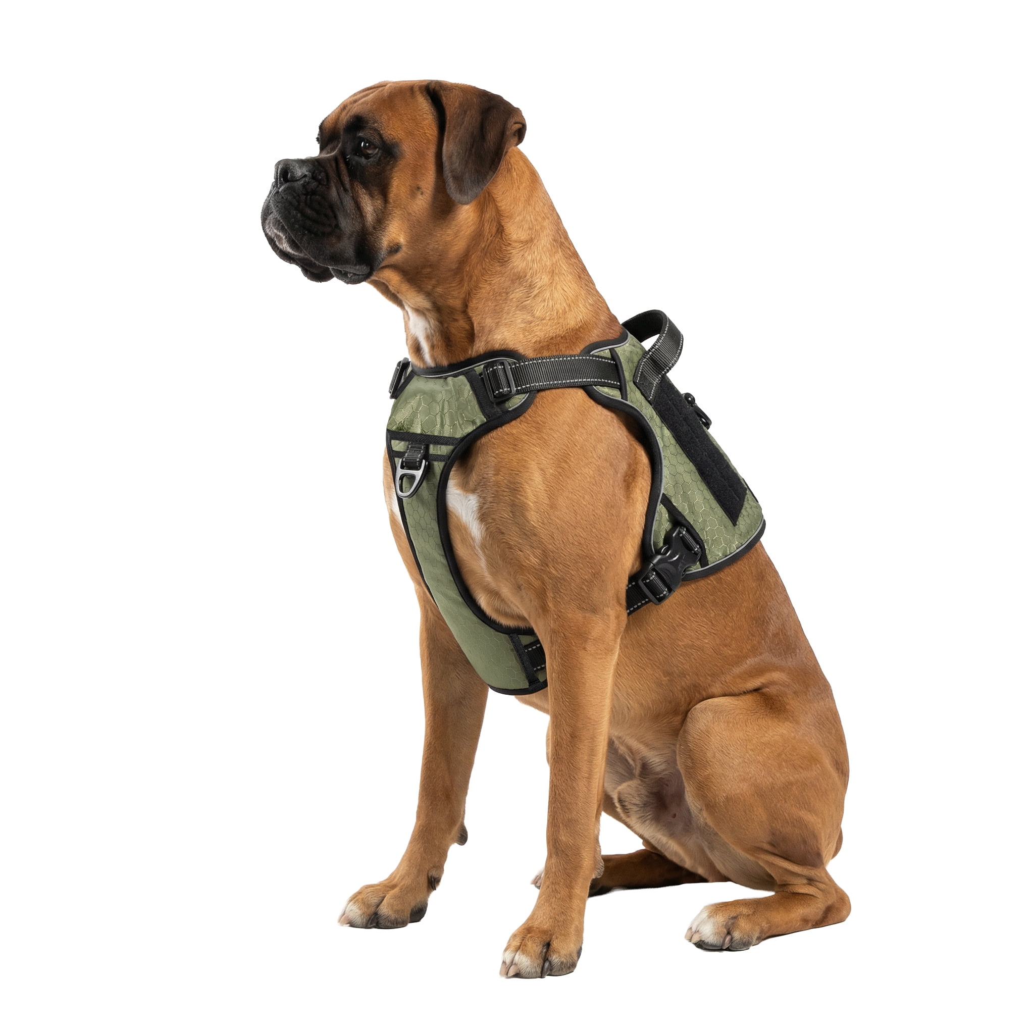 Mammoth Reflective Utility Dog Waking Harness, Green, Large