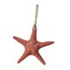 thumbnail image 5 of Adorno colgante de pared de , playa, mar Tropical, decoración de , naranja Gloria Colgante de pared de estrella de mar, 5 of 8
