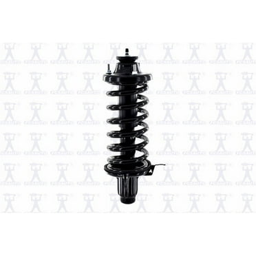 Suspension Strut and Coil Spring Assembly