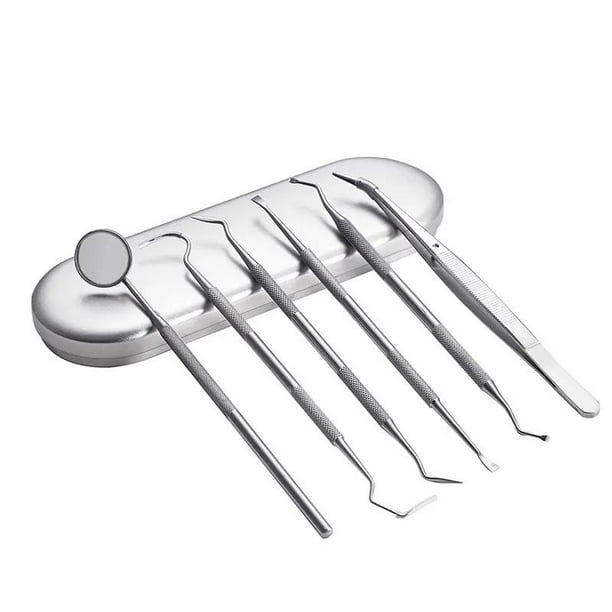 Herramientas dentales, 6PCS Herramientas de limpieza de dientes Raspador dental de acero inoxidable, Juego de herramientas dentales básicas para uso doméstico