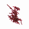 thumbnail image 1 of Insectos Blandos Lombriz de Tierra Falsa Cebo Marino Señuelos de Gusano de Sanzre Cebos Artificiales para Carpa Carpa Plateada Bass - Acciones de Natacia Realistas, Cebo DE, 1 of 7
