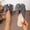 Gray, variant on Women's Round Toe Bow Slippers, Spring/Summer Bowknot Detail Slip-On Style Casual Outdoor Flat Shoes Red
