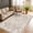 Beige, variant on YOUFORTONG 2x3 Vintage Indoor Area Rug, Neutral Washable Non-Slip Farmhouse Rug,Soft Low-Pile Carpet for Entryway Kitchen Living Room Bedroom,Black