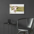 thumbnail image 6 of Epic Art 'Goat at Fence' by Lori Deiter Acrylic Glass Wall Art, 24"x16", 6 of 8