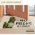 thumbnail image 6 of Spring Summer Door Mat 30 X 17 Inch No Picks Allowed Cactus Gnome Doormat Indoor Outdoor Entrance Funny Floor Mat Non Slip Summer Decor Rubber Welcome Mats, 6 of 6
