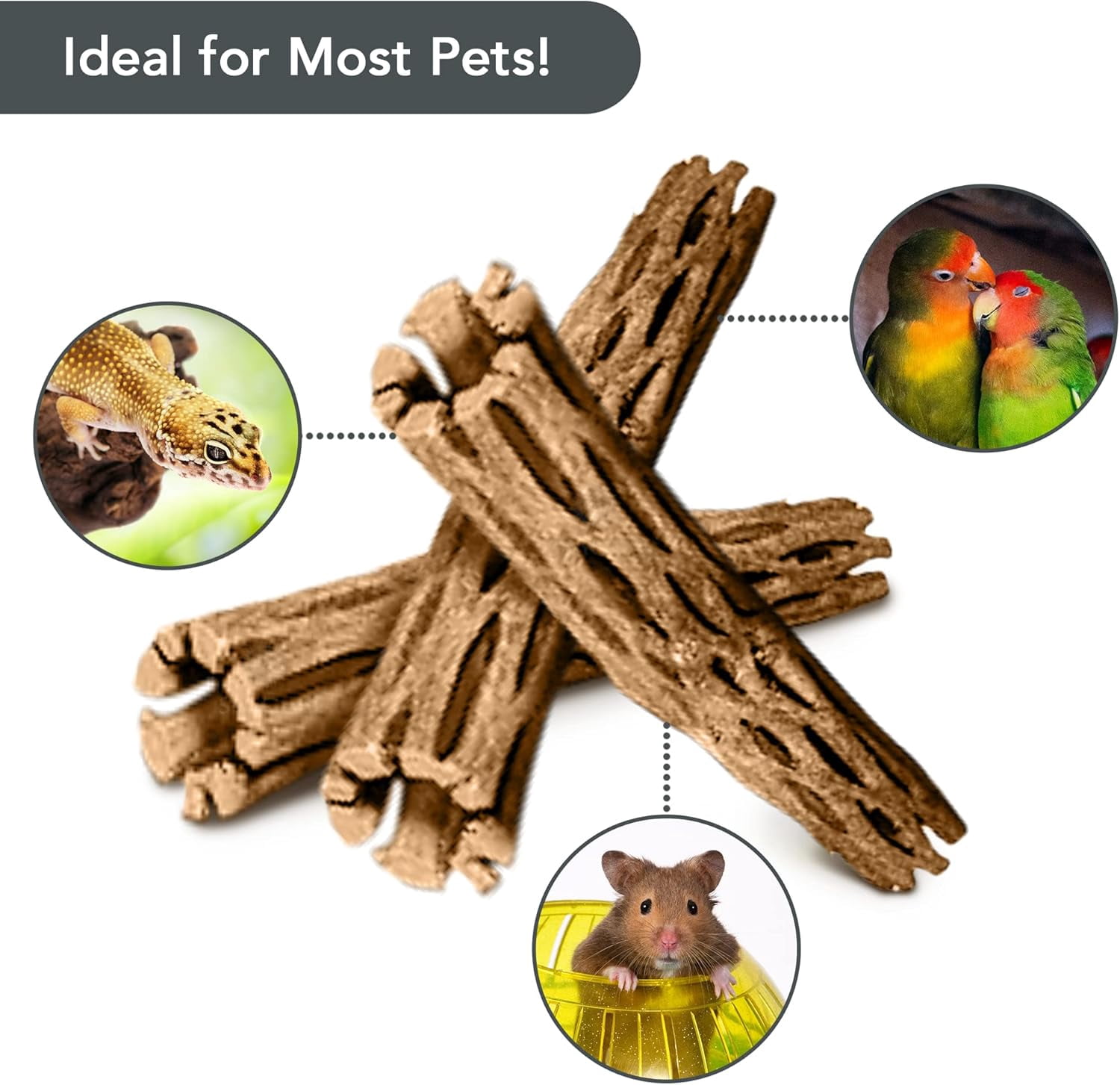 Cholla Wood, 6” Climbing Logs, Chew Toy, Aquarium Fish, Snail, and Shrimp Driftwood, Tropical Freshwater Fish Décor, Adds Raw Beauty, 3 Pack