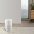 thumbnail image 3 of Revitaliser Freshener Ioniser Filter Air Cleaner Purification, 3 of 10