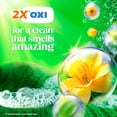 thumbnail image 5 of Gain Flings Laundry Detergent Soap Pacs, 4-in-1 Oxi Boost and Febreze, Original Scent, 31 Count, 5 of 16