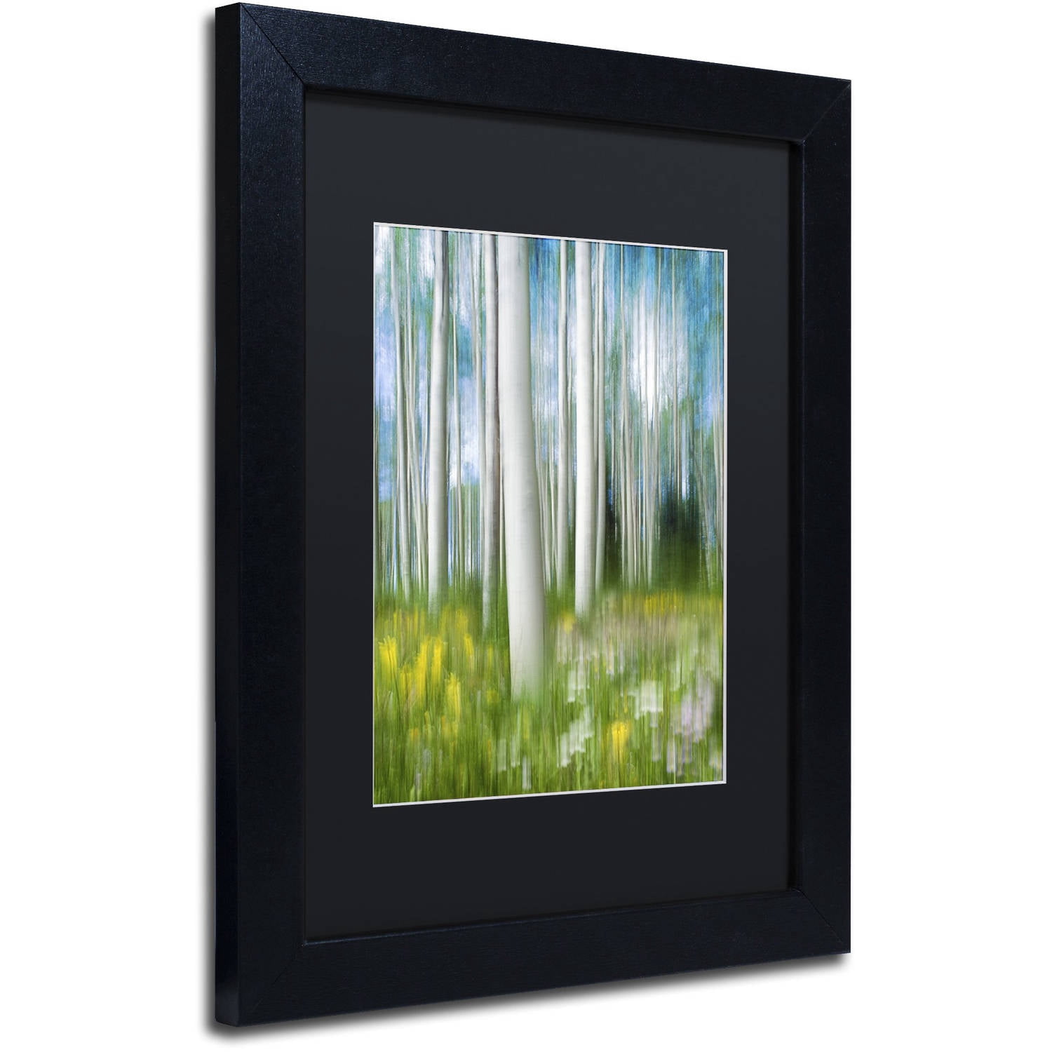 Trademark Fine Art "Aspen Impression" Canvas Art by Michael Blanchette Photography Black Matte, Black Frame