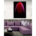 thumbnail image 3 of Cortesi Home ''Wet'' by Darren White Graphic Art on Wrapped Canvas, 3 of 5