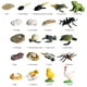 thumbnail image 5 of Modelo de simulación de animales para niños, Mini Animal, gallo, hormiga, Rana, Tortuga, Mosquito, ciclo de crecimiento, muñecos de acción de PVC, juguete para niños, 5 of 7