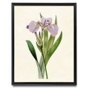 Lavender Purple Iris Flower Print, Vintage Illustration, Botanical Wall Art Printable,Painting Art, Dining Room Wall Decor Ideas, Art Deco Frameless 20x30inch