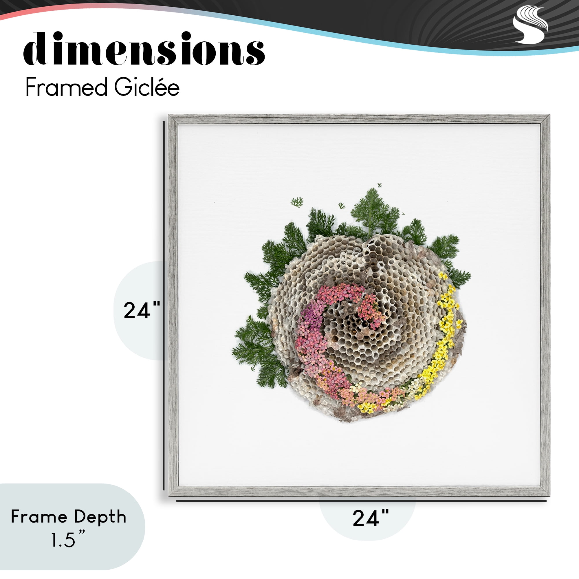 Stupell Industries Honeycomb with Botanicals Gray Framed Giclee Art, design by Beth Adoette