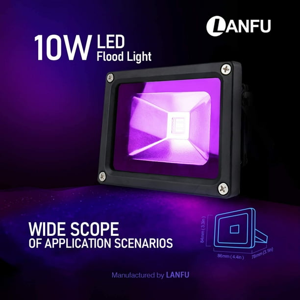 Neon 2024 flood lights