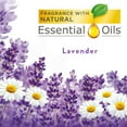thumbnail image 6 of Air Wick Freshmatic Automatic Spray Air Freshener, Lavender and Chamomile Scent, 1 Refill, 6.17 oz (Pack of 4), 6 of 7