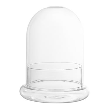 Dome Glass Terrarium Cloche Bell Display Plant Flower Planter Jar Cover Case Succulent Clear Vase Globe Preserved Air