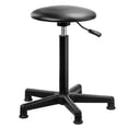thumbnail image 2 of Posing Stool (20-30"), 2 of 10