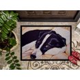 thumbnail image 3 of Carolines Treasures AMB1080MAT Tapis Intérieur Ou Extérieur Naptime Border Collie - 18 x 27, 3 of 4