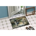 thumbnail image 3 of Carolines Treasures DAC3194JMAT 24 x 36 in. Unisex Bufflehead Doormat, 3 of 6