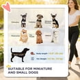 thumbnail image 3 of Foldable Pet Stroller for Dogs & Cats, Coffee Steel Frame Pram with Mesh Windows & Washable Cushion, 360° Wheels, Reflective Strips, Large Basket for Outdoor Walks & Travel, 3 of 7