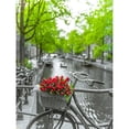 thumbnail image 3 of Frank, Assaf 12x14 Black Modern Framed Museum Art Print Titled - Bicycle with bunch of flowers by the canal-Amsterdam, 3 of 5