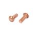 thumbnail image 2 of M3 x 8mm Ejes Redondos Remaches Sólidos de Cobre Accesorios de Hardware Tono Dorado 40 Pcs, 2 of 2