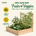 thumbnail image 4 of Greenes Fence 48" x 48" x 11" Beige Cedar Raised Garden Kit with Trellis, 4 of 8