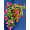 thumbnail image 4 of Topiary Art Works Panier Suspendu en Forme de Cône 14 Pouces avec Doublure et Cintre Rigide, 4 of 4