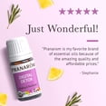 thumbnail image 4 of Pranarom Digital Detox Aroma Blend 5ml for Relaxation & Stress Relief, 4 of 7