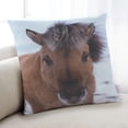 thumbnail image 1 of Ahgly Company Dogs Pony Indoor Throw Pillow, 18 inch by 18 inch, 1 of 6