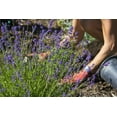 thumbnail image 3 of 🌱 Gardenera Lavender Potting Soil - Support the Resilience and Growth of Your Plants - 5 QUARTS, 3 of 4