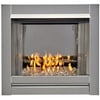 Duluth Forge Vent less Stainless Outdoor Gas Fireplace Insert With Reflective Crystal Glass Media 24,000 BTU, Manual Control Model# DF450SS-G