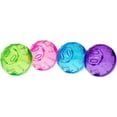 thumbnail image 4 of Kaytee – Mini-course de 5 po avec ballon d’exercice, 4 of 4