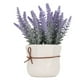 thumbnail image 1 of Mini Macetas De Plantas Artificiales, Plantas En Macetas Falsas Realistas, Decoración Del Hogar, Interior Y Exterior, 1 of 7
