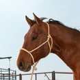 thumbnail image 4 of Martin Saddlery Chocolate Rope Nose Halter with 8ft Lead, 4 of 4