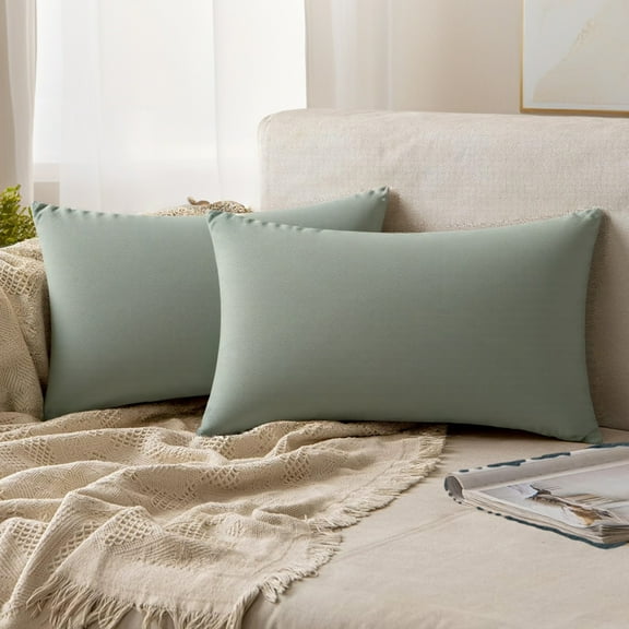 REGALWOVEN Pack of 2 Velvet Decorative Throw Pillow Covers Modern Cushion Covers with Zipper Grey 12" x 20"