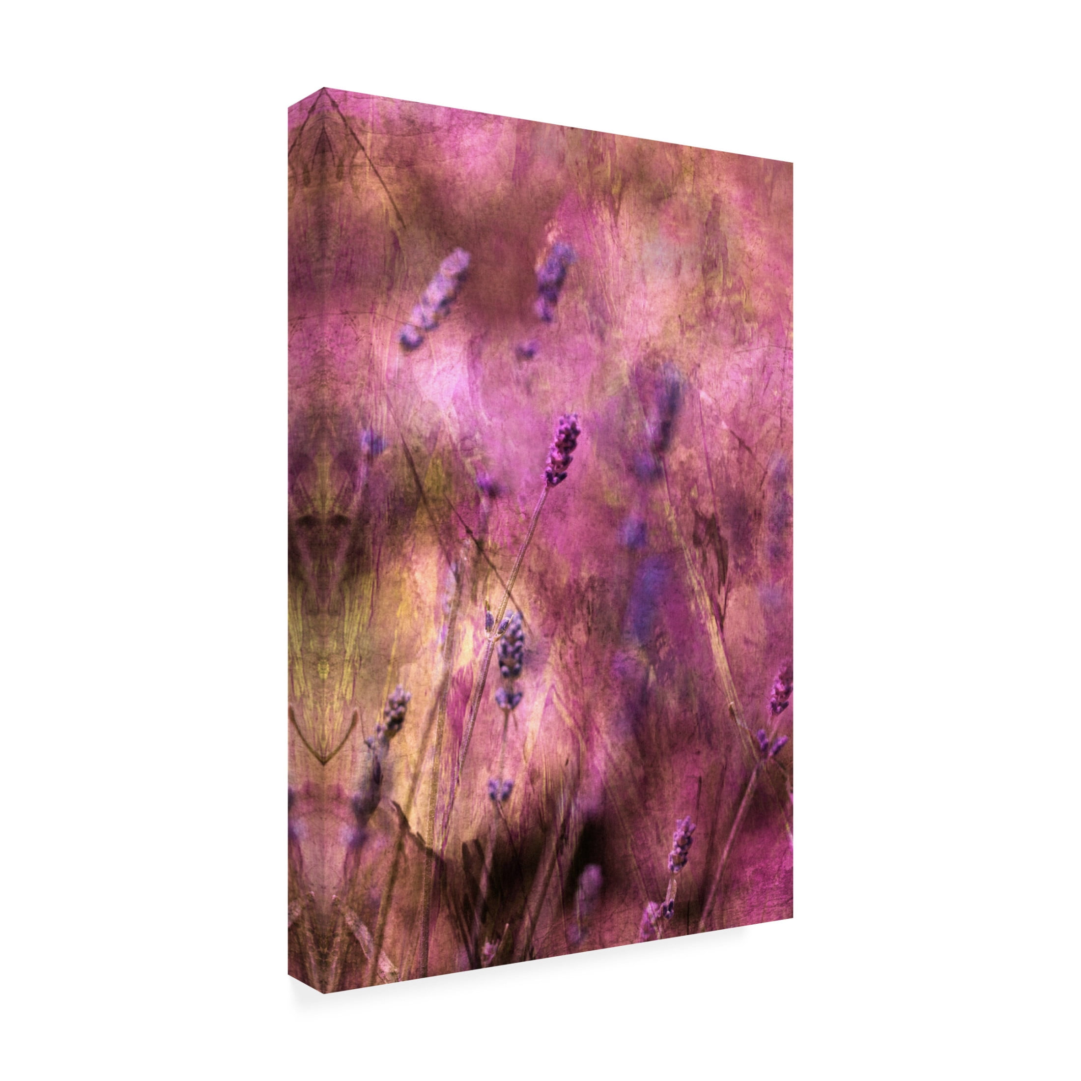 Canvas Wall Art - Delphine Devos 'Bring The Joy' Wall Art for Living Room, Bedroom, or Office Décor by Trademark Fine Art - 30 x 47 Inches