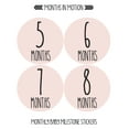 thumbnail image 2 of Baby Monthly Stickers | Baby Milestone Stickers | Newborn Stickers | Month Stickers for Baby Girl | Baby Girl Stickers | Newborn Monthly Milestone Stickers (Set of 24), 2 of 6
