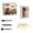B, variant on 1PC A Minibee Dinosaur Digging Kit Archaeology Science Set with Excavation Tools for Educational STEAM Activity