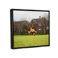 thumbnail image 4 of Stupell Industries Eye on the Ball Dog Animals & Insects Photography Black Floater Framed Canvas Art Print Wall Art, 31 x 25, 4 of 10